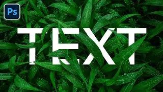 Leaves Text Effect in Photoshop || Photoshop Tutorial