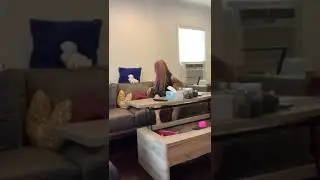 Teddy Bear Speaker Prank On Asian Mom😂