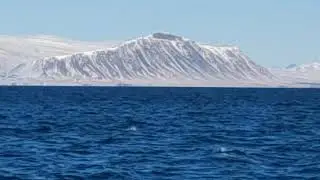 Reykjavik Coastline