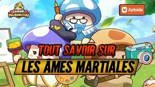 Tout Comprendre sur les Âmes Martiales sur Legend of Mushroom !