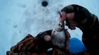 Зимняя ловля на подтяг (покаток ), фидер