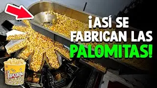 ¿Cómo Se Hacen Las Palomitas De Bolsa? [Proceso En Fábrica]