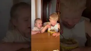 Маленькие дегустаторы мёда (забруса).