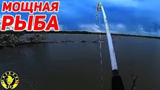 ЭТИ ПАРОВОЗЫ ЗАТЯГИВАЮТ В КОРЯГИ И РВУТ ПОВОДКИ. Обская рыбалка на донки.