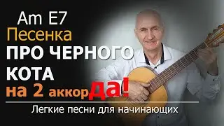 Песенка про черного кота - песня на 2 аккорда