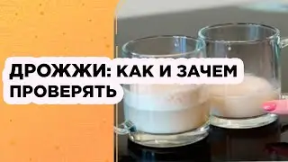 Дрожжи: как и зачем проверять