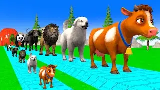 Paint & Animals Cow,Lion,Elephant,Bear,Dog,Buffalo,Dinosaur Fountain Crossing Transformation Cartoon