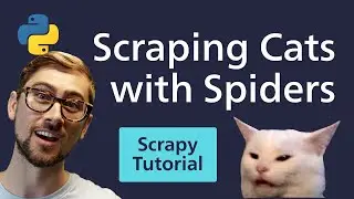 Python Scrapy Tutorial - Cats & Spiders? Web Scraping Reddit with Scrapy [2020]