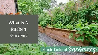 What is a Kitchen Garden? | The Difference Between Kitchen Gardening and Vegetable Gardening