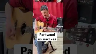 Акустика от #Parkwood - инструмент для настоящих ценителей гитарного звука! #игранагитаре #гитара