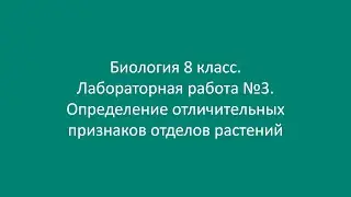 Биология 8 класс. Лабораторная работа №3. Определение отличительных признаков отделов растений