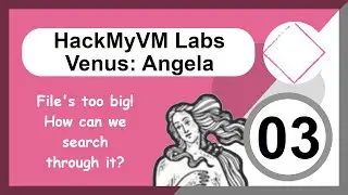 HackMyVM - Venus CTF labs - Level 3: Angela - Linux File Content Search