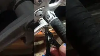 Sir Clip🫡