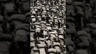 Tribute to Sebastião Salgado