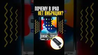 Почему в iPad НЕТ ВИБРАЦИИ, а у Samsung - есть? В чем дело, Apple?