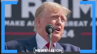 Who will be Trump’s VP pick? | NewsNation Live