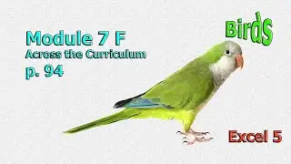 Excel 5  Grade 5 Module 7 Across the Curriculum 7 F Birds  Птицы на английском языке