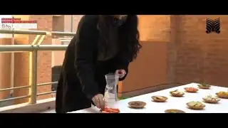 Master of Art and Design studies | BNU Lahore