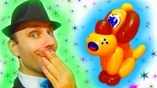 Крассивый собака из шаров шдм (твистинг) ★ dog balloon