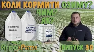 ВЖЕ ПОРА?!КОЛИ КОРМИТИ ОЗИМУ?ЧИМ?ЯК?