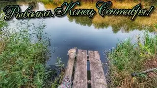 РЫБАЛКА 🐟ПОПЛАВОК! ЛОВИМ РЫБУ СО СТАРЫХ ДЕДОВСКИХ МОСТКОВ!