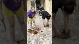 Beautiful girls slaughter chicken under feet