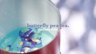 how to make butterfly pea tea // aesthetic + healthy drink