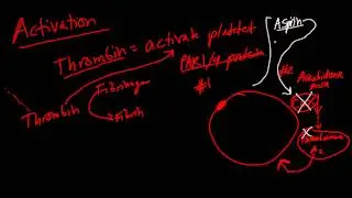 Platelet Clotting Made Simple!