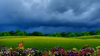 Nature motion Background video effects hd / Storm sky relaxing sounds / new natural background