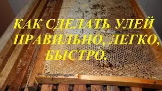 Правильный улей и его конструкция. Что к чему, куда и почему.
