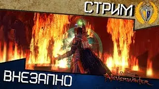 🎁 Поиграем - поболтаем в Neverwinter 🎁