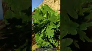 Minecraft BEDROCK - Ultra realistic textures with HIGH FPS