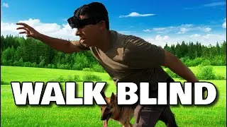 I Walked In A Straight Line Without Seeing Anything