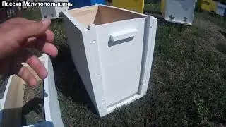 6 рамочный рогатый улей
