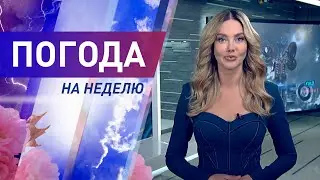 Погода на неделю 14-20 августа 2023. Прогноз погоды. Беларусь | Метеогид
