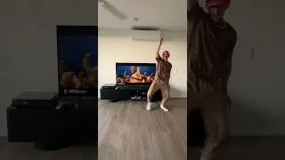 Shrek Dance 🕺 