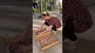 Nigina tiktok uyatsiz videolari 2021 
