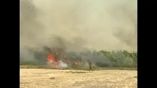 Пожар в двух районах ЗКО. 5 класс пожарной опасности