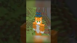 БЫСТРОЕ СТРОИТЕЛЬСТВО🤯 | WICSUR 