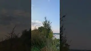 #sorts Сходили на рыбалку ...#fishing