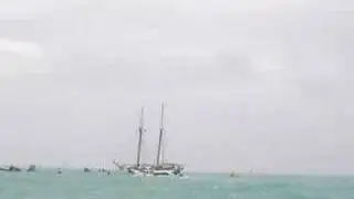 Point Loma Anarchy Coverage