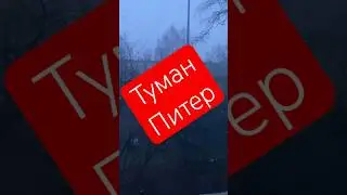 Туман испугал жителей города и они все попрятались 