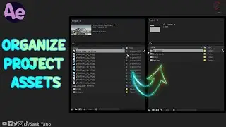 How to Organize Project Assets in Adobe After Effects | 5 Methods