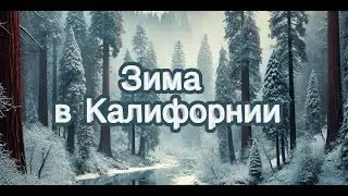 В Калифорнии снег — это праздник, а не повседневность