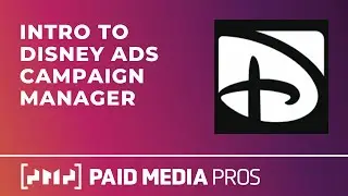 Intro to Disney Campaign Manager