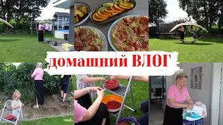 VLOG🇩🇪: ЖИЗНЬ в ГЕРМАНИИ! Собираем смородину/ Лайфхак с вилкой👌вкусный завтрак 🍕