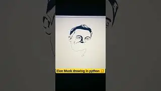 You can do this in python 😱? Draw Elon Musk in Python | Tesla |