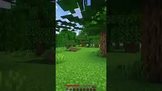 Life is a DREAM Minecraft