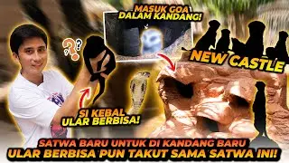 MOMEN SATWA BARU DARI AFRIKA MASUK KE KANDANG BARUNYA ! ULAR PUN TAKUT DENGAN SATWA INI ?!