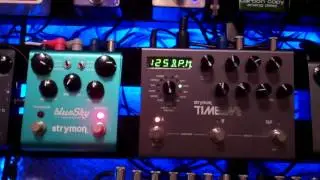 Ambient Guitar Swells Tutorial: Using Strymon Timeline & Blue sky only